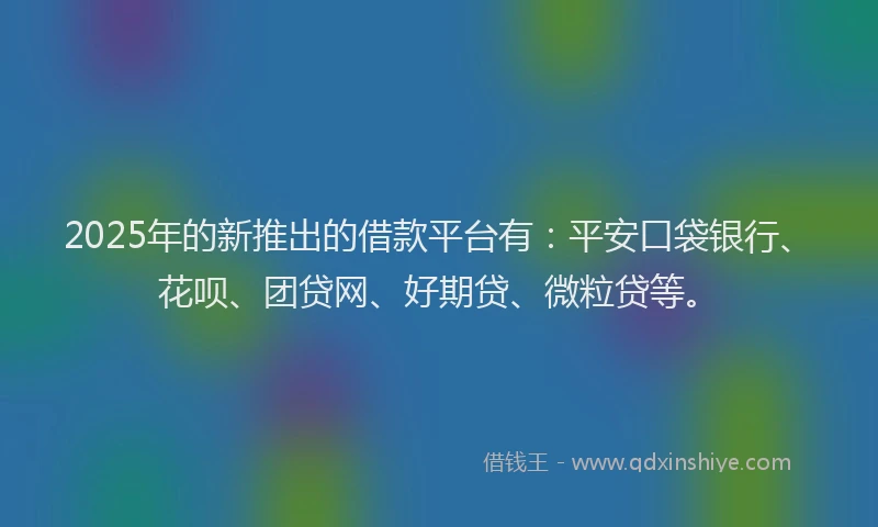 2025年的新推出的借款平台有：平安口袋银行、花呗、团贷网、好期贷、微粒贷等。