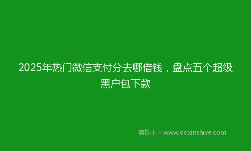 2025年热门微信支付分去哪借钱，盘点五个超级黑户包下款