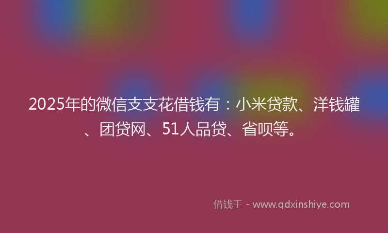 2025年的微信支支花借钱有：小米贷款、洋钱罐、团贷网、51人品贷、省呗等。