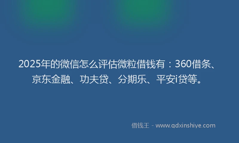 2025年的微信怎么评估微粒借钱有：360借条、京东金融、功夫贷、分期乐、平安i贷等。