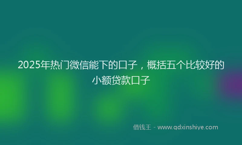 2025年热门微信能下的口子，概括五个比较好的小额贷款口子