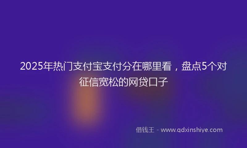 2025年热门支付宝支付分在哪里看，盘点5个对征信宽松的网贷口子