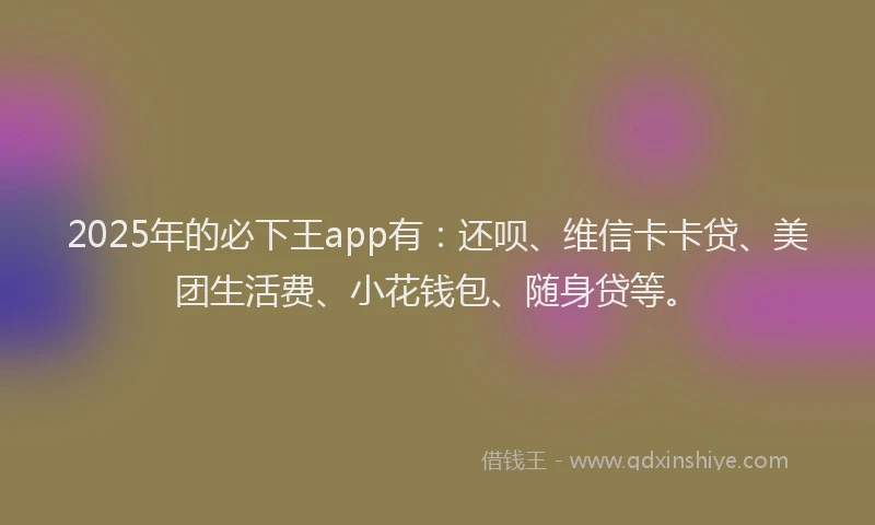 2025年的必下王app有：还呗、维信卡卡贷、美团生活费、小花钱包、随身贷等。