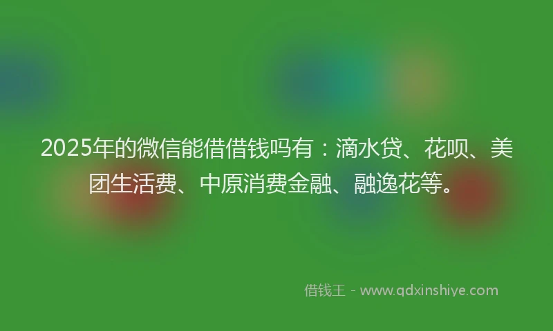 2025年的微信能借借钱吗有：滴水贷、花呗、美团生活费、中原消费金融、融逸花等。