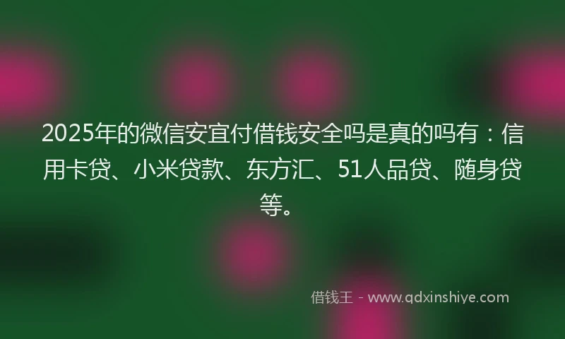 2025年的微信安宜付借钱安全吗是真的吗有：信用卡贷、小米贷款、东方汇、51人品贷、随身贷等。