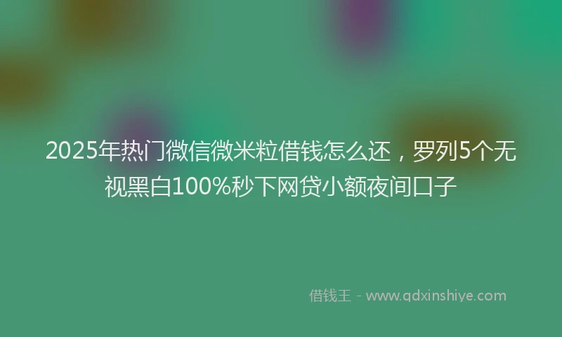 2025年热门微信微米粒借钱怎么还，罗列5个无视黑白100%秒下网贷小额夜间口子