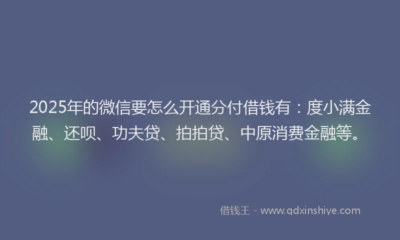 2025年的微信要怎么开通分付借钱有：度小满金融、还呗、功夫贷、拍拍贷、中原消费金融等。