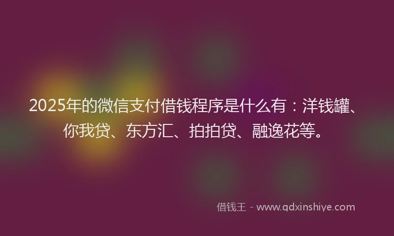 2025年的微信支付借钱程序是什么有：洋钱罐、你我贷、东方汇、拍拍贷、融逸花等。