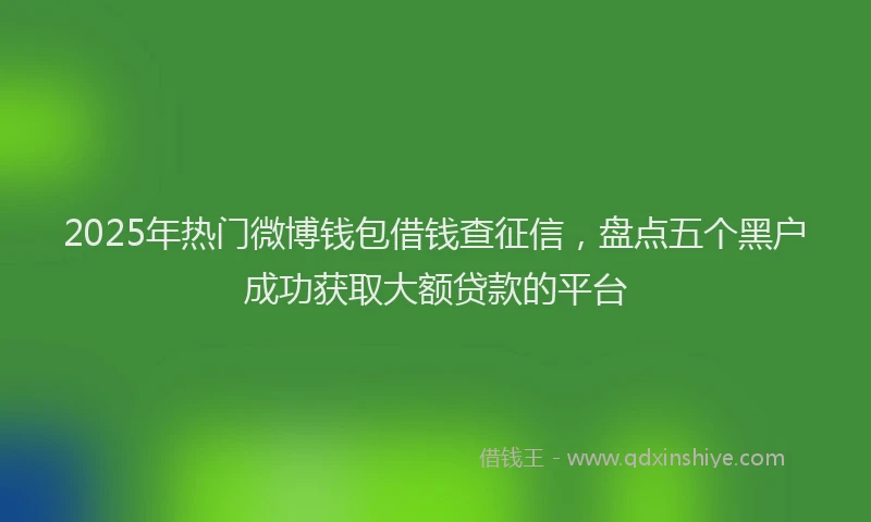 2025年热门微博钱包借钱查征信，盘点五个黑户成功获取大额贷款的平台