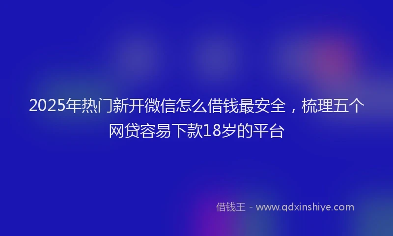 2025年热门新开微信怎么借钱最安全，梳理五个网贷容易下款18岁的平台