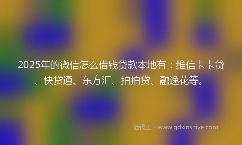 2025年的微信怎么借钱贷款本地有：维信卡卡贷、快贷通、东方汇、拍拍贷、融逸花等。