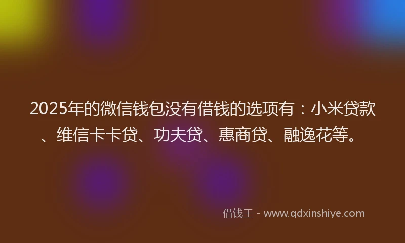 2025年的微信钱包没有借钱的选项有：小米贷款、维信卡卡贷、功夫贷、惠商贷、融逸花等。