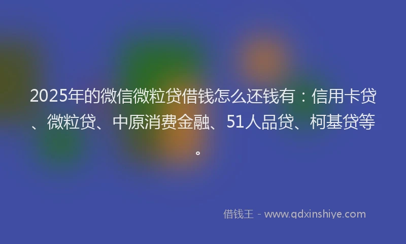 2025年的微信微粒贷借钱怎么还钱有:信用卡贷、微粒贷、中原消费金融、51人品贷、柯基贷等。