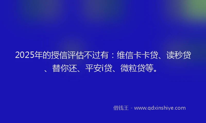 2025年的授信评估不过有：维信卡卡贷、读秒贷、替你还、平安i贷、微粒贷等。