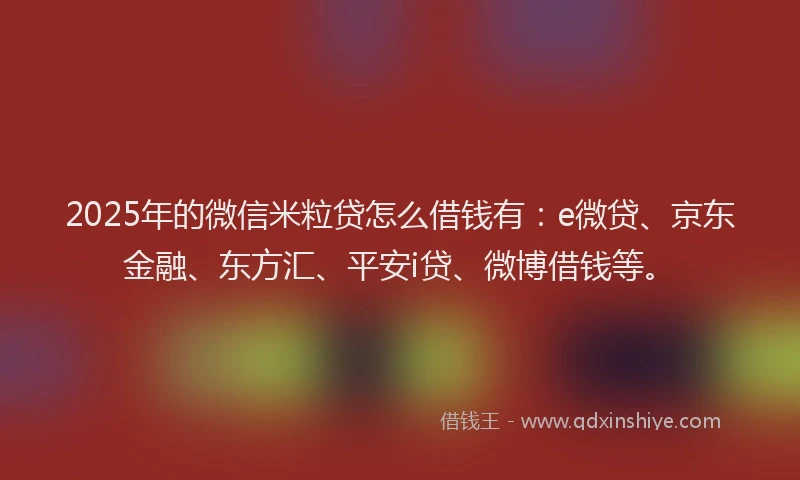 2025年的微信米粒贷怎么借钱有：e微贷、京东金融、东方汇、平安i贷、微博借钱等。