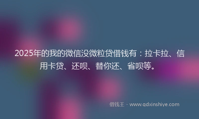 2025年的我的微信没微粒贷借钱有：拉卡拉、信用卡贷、还呗、替你还、省呗等。