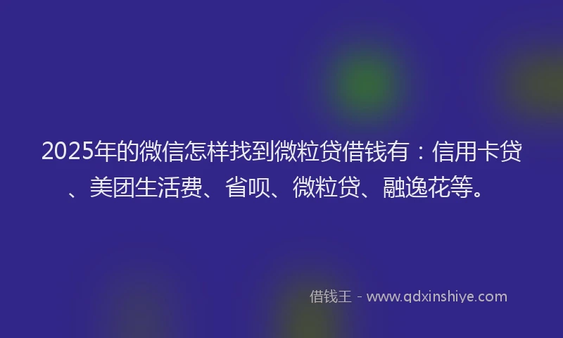 2025年的微信怎样找到微粒贷借钱有：信用卡贷、美团生活费、省呗、微粒贷、融逸花等。