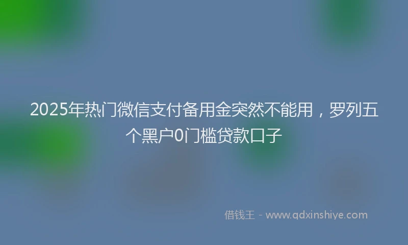 2025年热门微信支付备用金突然不能用，罗列五个黑户0门槛贷款口子