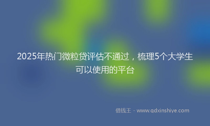 2025年热门微粒贷评估不通过，梳理5个大学生可以使用的平台