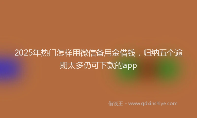 2025年热门怎样用微信备用金借钱，归纳五个逾期太多仍可下款的app
