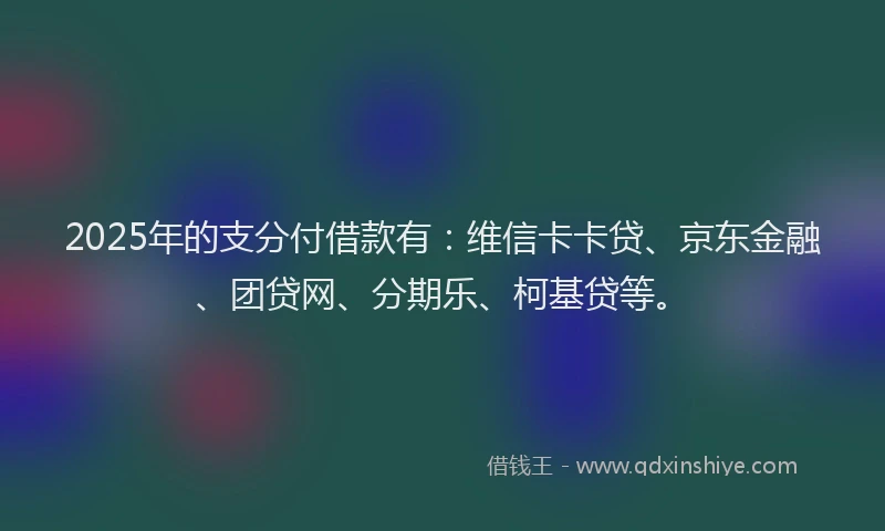 2025年的支分付借款有：维信卡卡贷、京东金融、团贷网、分期乐、柯基贷等。