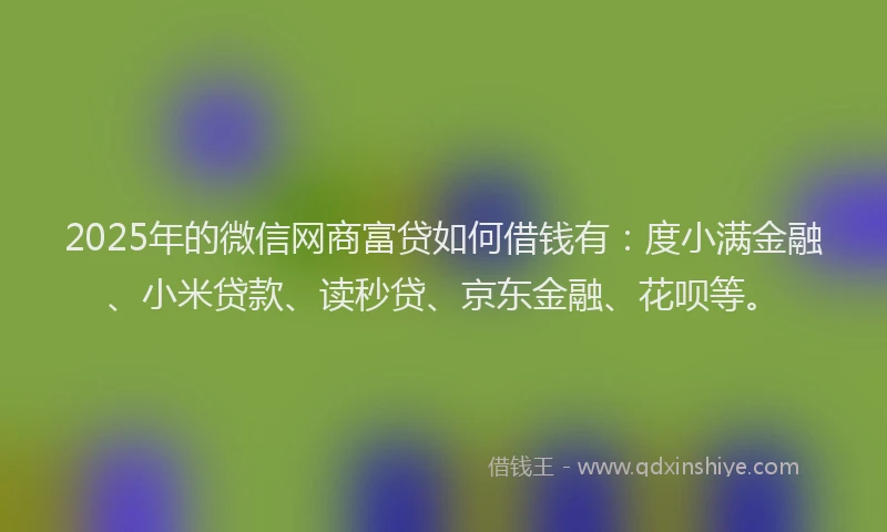 2025年的微信网商富贷如何借钱有：度小满金融、小米贷款、读秒贷、京东金融、花呗等。