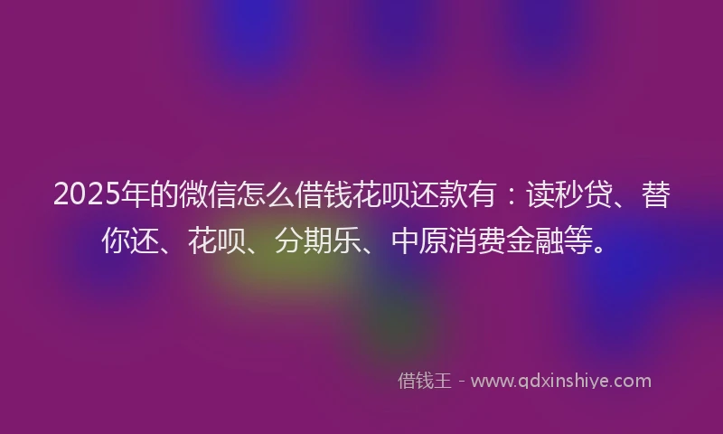 2025年的微信怎么借钱花呗还款有：读秒贷、替你还、花呗、分期乐、中原消费金融等。