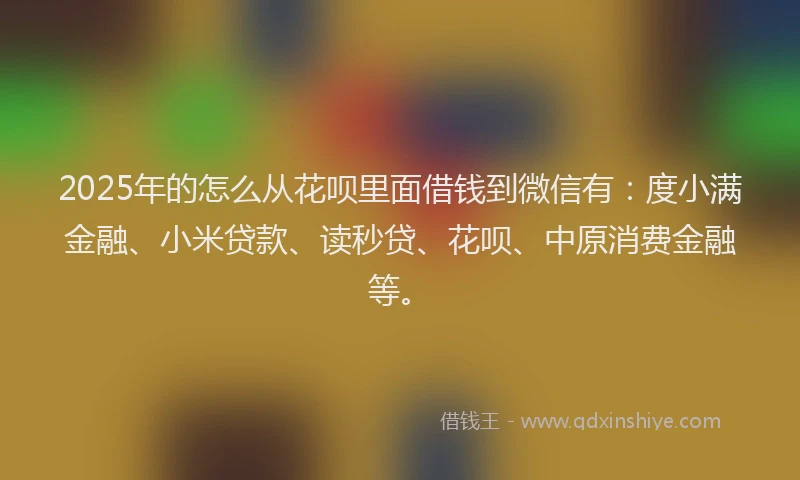 2025年的怎么从花呗里面借钱到微信有：度小满金融、小米贷款、读秒贷、花呗、中原消费金融等。