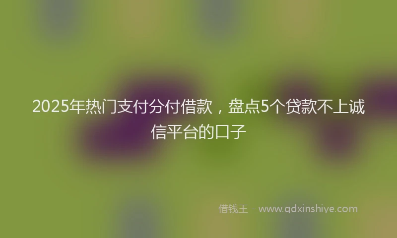 2025年热门支付分付借款，盘点5个贷款不上诚信平台的口子