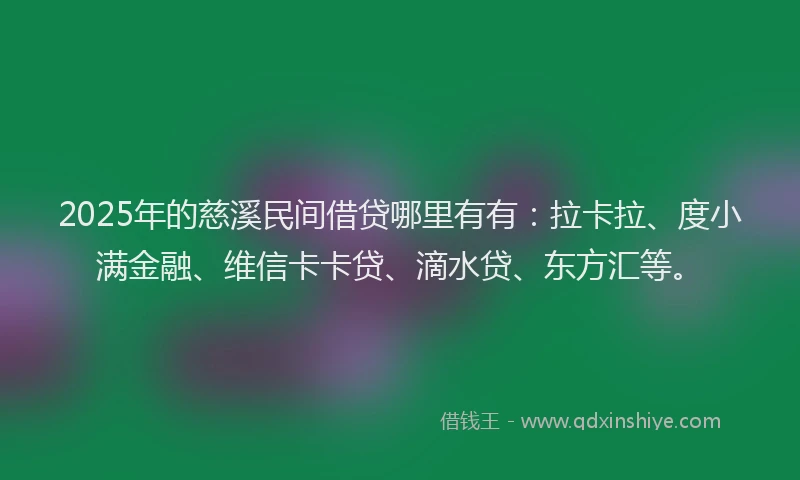 2025年的慈溪民间借贷哪里有有：拉卡拉、度小满金融、维信卡卡贷、滴水贷、东方汇等。