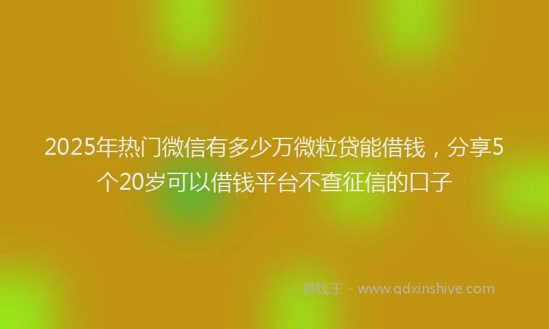 2025年热门微信有多少万微粒贷能借钱，分享5个20岁可以借钱平台不查征信的口子