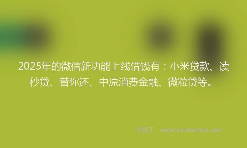 2025年的微信新功能上线借钱有：小米贷款、读秒贷、替你还、中原消费金融、微粒贷等。