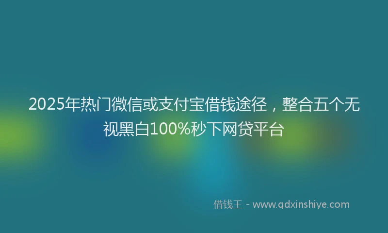 2025年热门微信或支付宝借钱途径，整合五个无视黑白100%秒下网贷平台