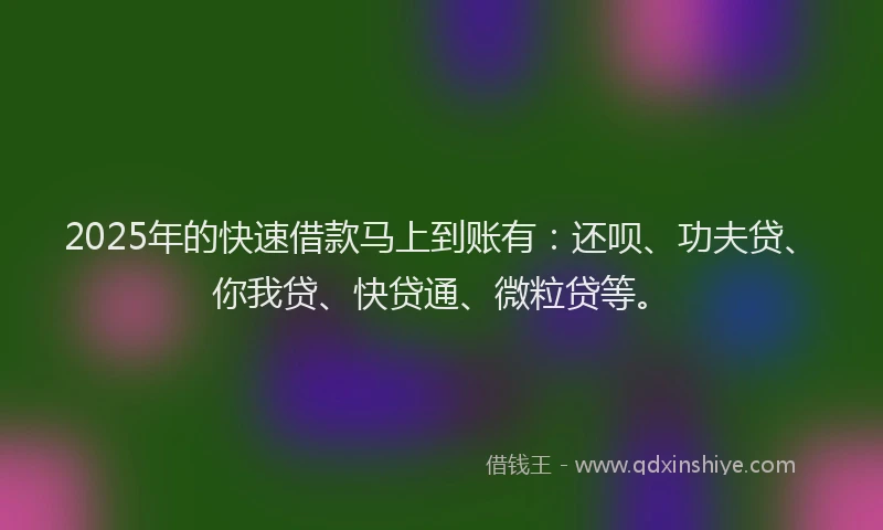 2025年的快速借款马上到账有：还呗、功夫贷、你我贷、快贷通、微粒贷等。