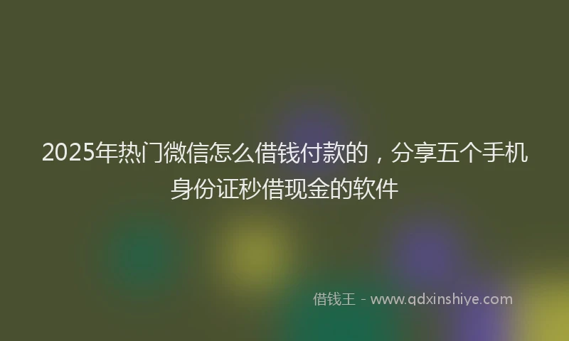 2025年热门微信怎么借钱付款的，分享五个手机身份证秒借现金的软件