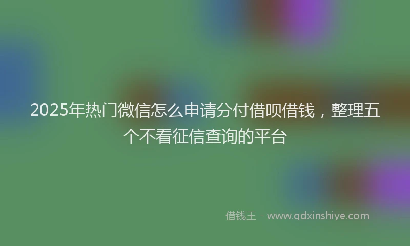 2025年热门微信怎么申请分付借呗借钱，整理五个不看征信查询的平台