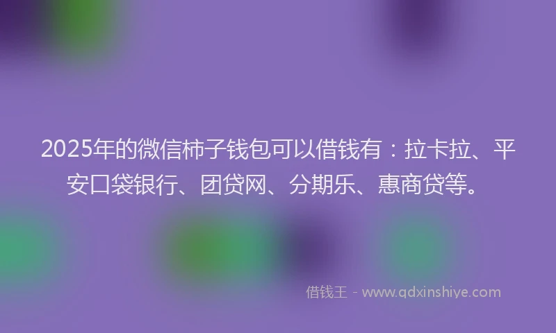 2025年的微信柿子钱包可以借钱有：拉卡拉、平安口袋银行、团贷网、分期乐、惠商贷等。