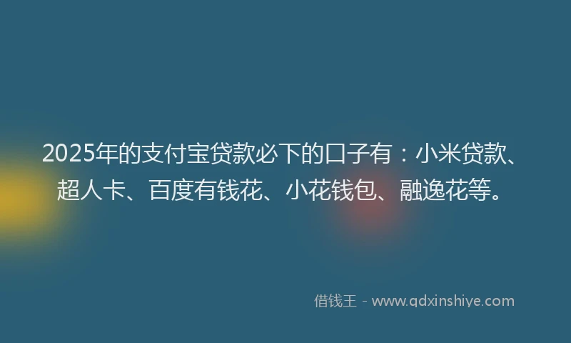 2025年的支付宝贷款必下的口子有：小米贷款、超人卡、百度有钱花、小花钱包、融逸花等。