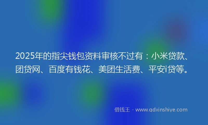2025年的指尖钱包资料审核不过有：小米贷款、团贷网、百度有钱花、美团生活费、平安i贷等。