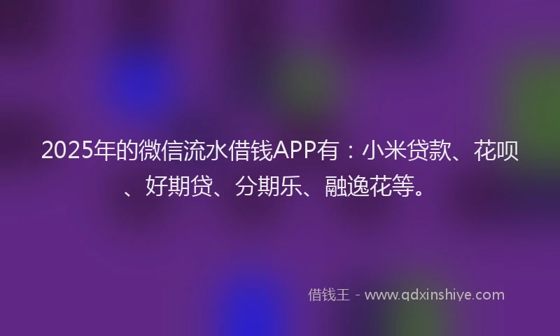 2025年的微信流水借钱APP有：小米贷款、花呗、好期贷、分期乐、融逸花等。