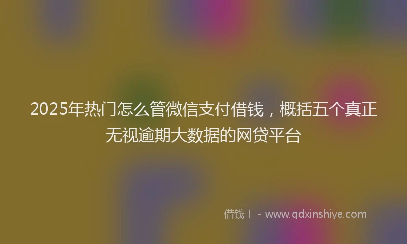 2025年热门怎么管微信支付借钱，概括五个真正无视逾期大数据的网贷平台