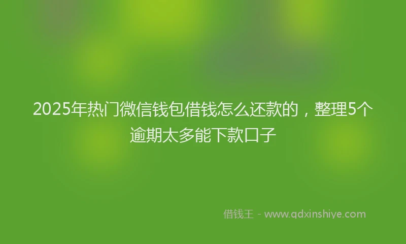 2025年热门微信钱包借钱怎么还款的，整理5个逾期太多能下款口子