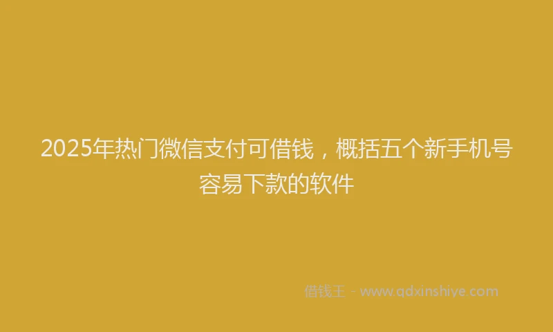 2025年热门微信支付可借钱，概括五个新手机号容易下款的软件