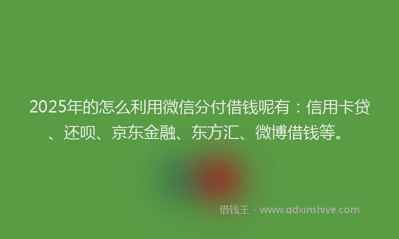 2025年的怎么利用微信分付借钱呢有：信用卡贷、还呗、京东金融、东方汇、微博借钱等。