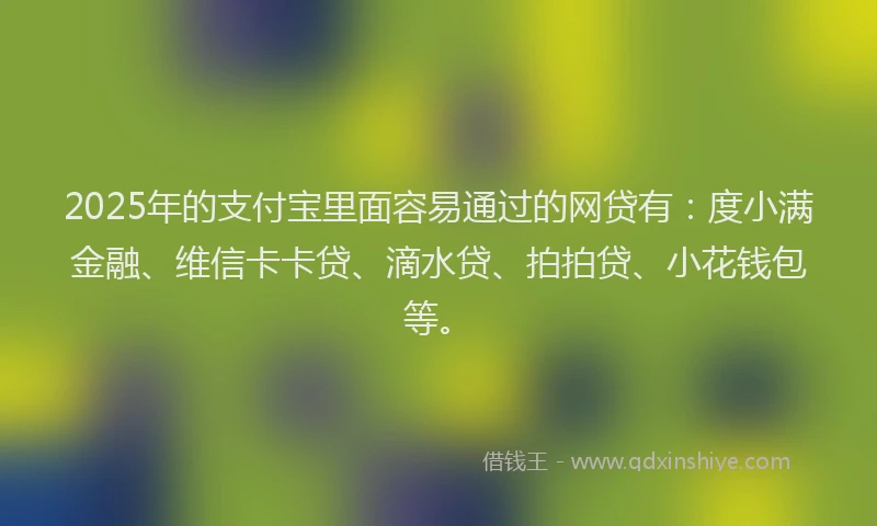 2025年的支付宝里面容易通过的网贷有：度小满金融、维信卡卡贷、滴水贷、拍拍贷、小花钱包等。