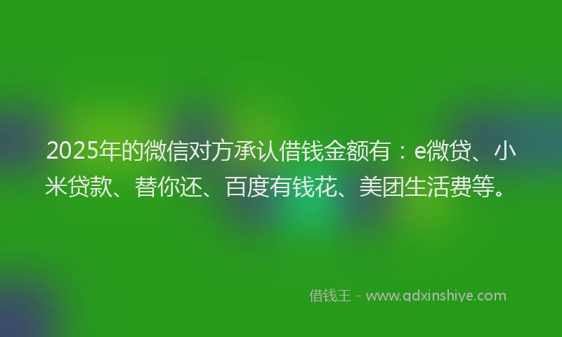 2025年的微信对方承认借钱金额有：e微贷、小米贷款、替你还、百度有钱花、美团生活费等。