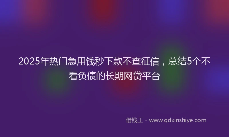 2025年热门急用钱秒下款不查征信，总结5个不看负债的长期网贷平台
