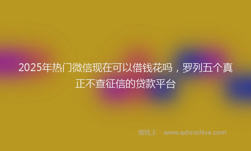 2025年热门微信现在可以借钱花吗，罗列五个真正不查征信的贷款平台