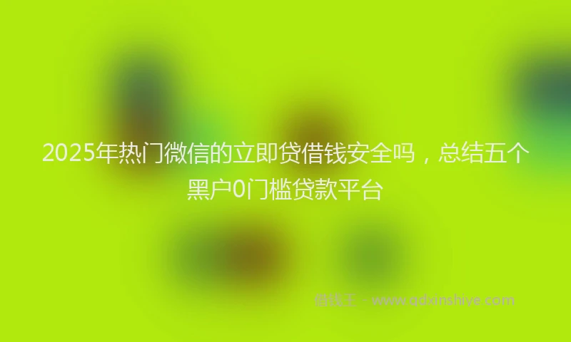 2025年热门微信的立即贷借钱安全吗，总结五个黑户0门槛贷款平台