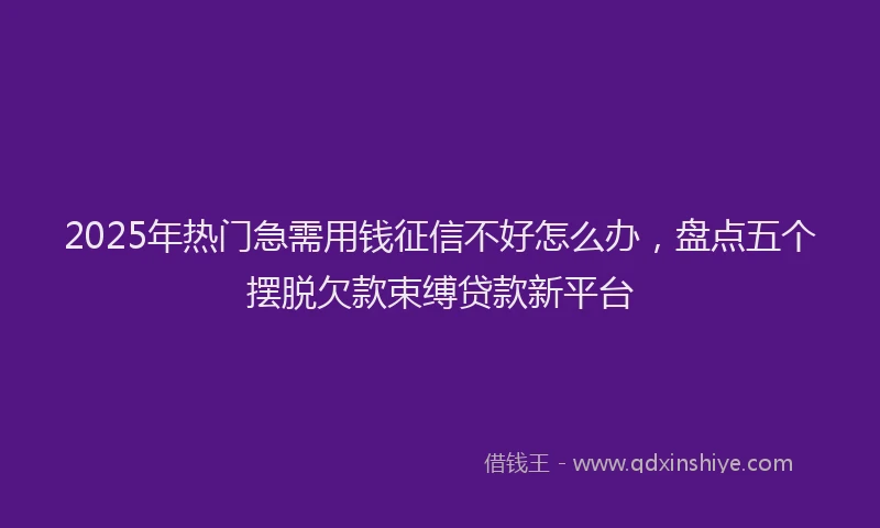 2025年热门急需用钱征信不好怎么办，盘点五个摆脱欠款束缚贷款新平台